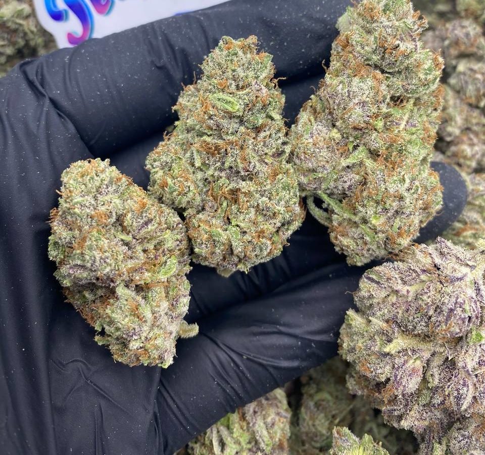 What is exotic weed?