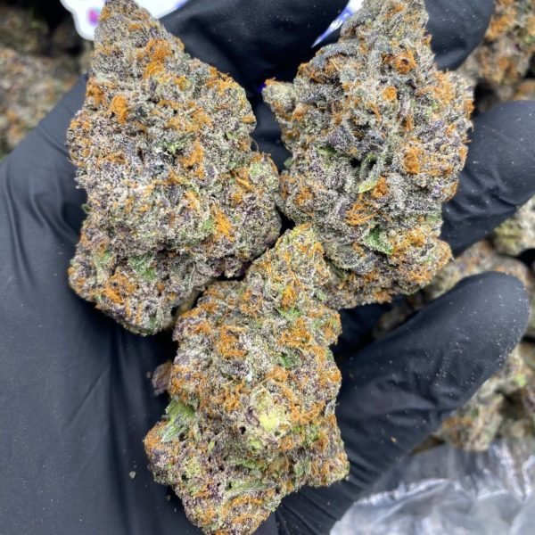 white truffle strain for sale Exotic Cannabis